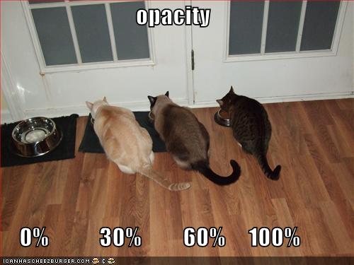[funny-pictures-opacity-cats-eating.jpg]