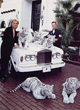 Siegfried & Roy and their white tigers