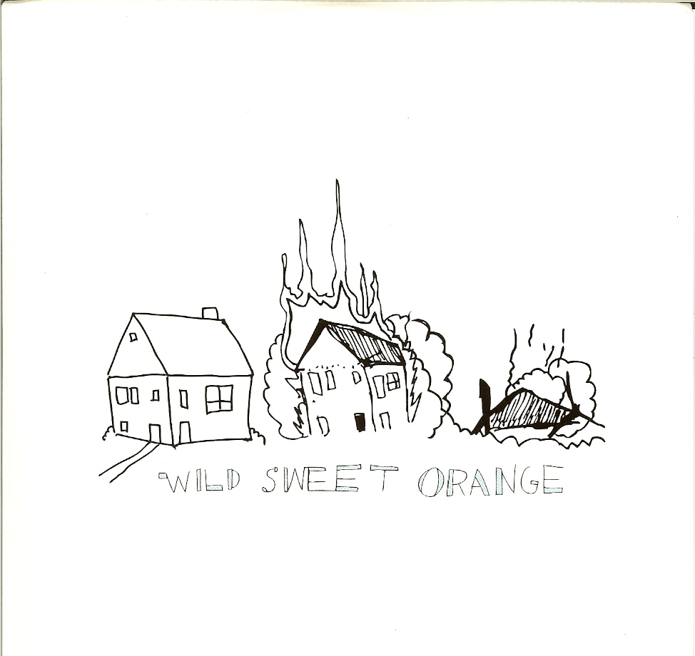 [wild+sweet+orange.jpg]