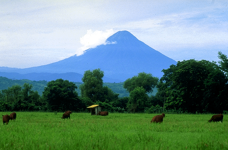 [Rehu+landscape+(volcano).jpg]