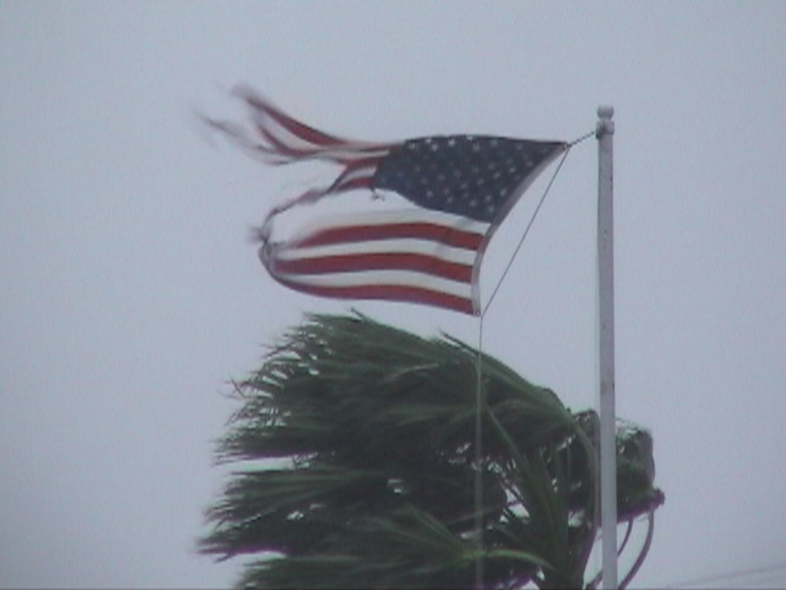 [American+Flag+in+Hurricane+Jeanne,+Lisius.jpg]