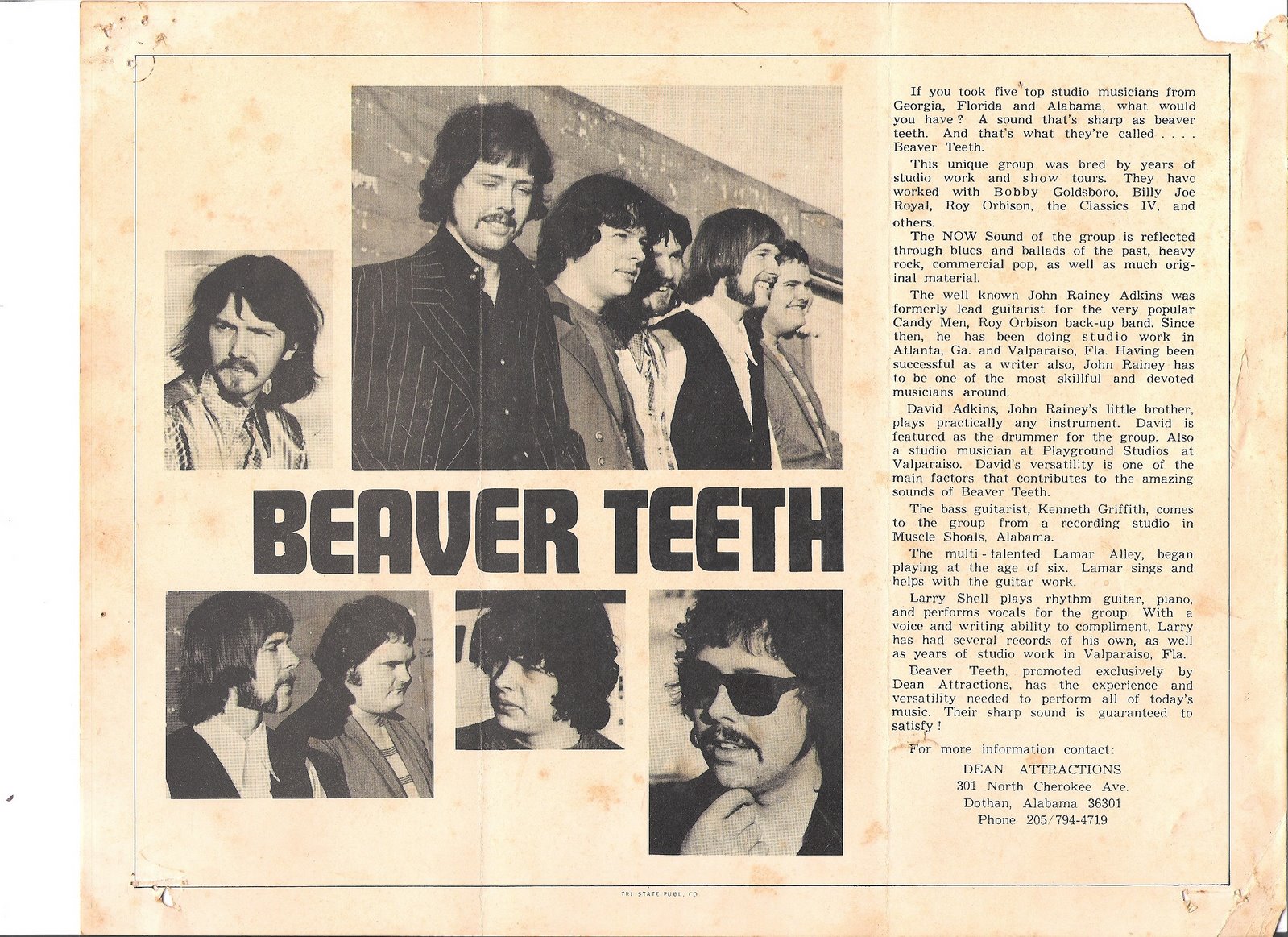 [Beaver+Teeth.jpg]