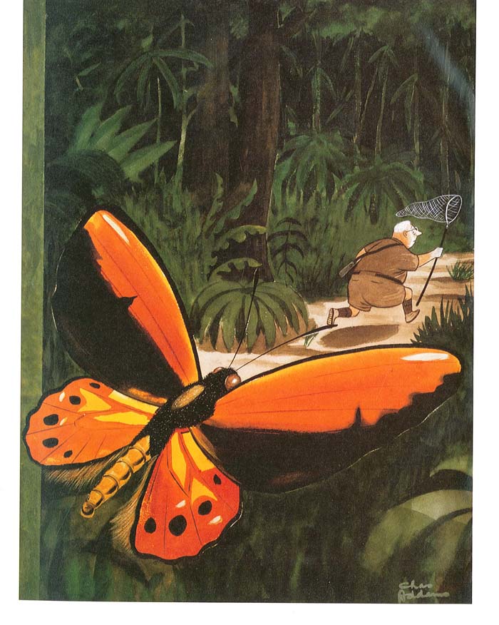 [butterflyman.jpg]