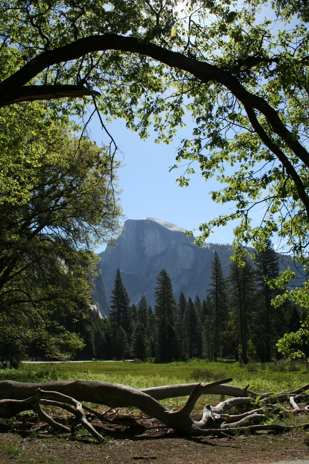 [Yosemite+2008+041.jpg]