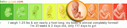 [babyw23.png]