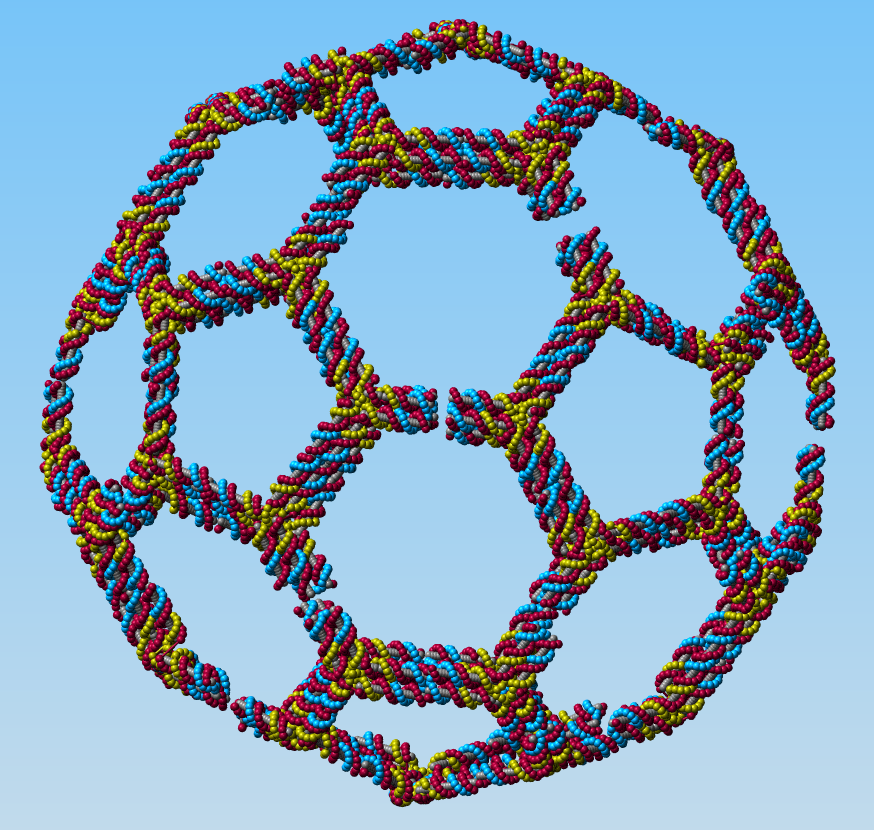 [dna_buckyball_pov_cropped.png]