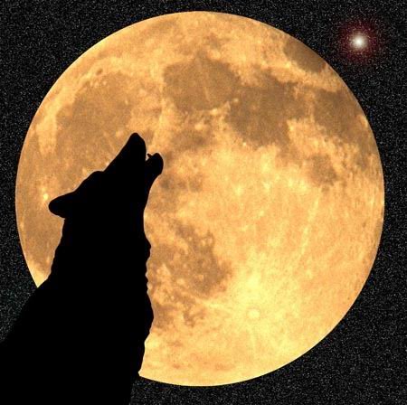 [Wolf-Moon.jpg]