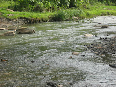 River in Biasong, one of Cebu's water sources.