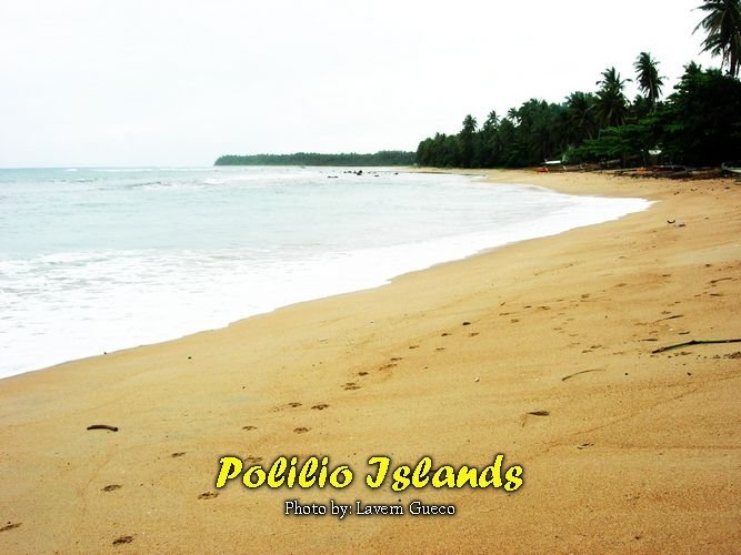 [Beach+in+Polilio+Islands.jpg]