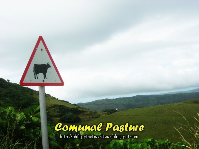 [comunal+pasture.jpg]