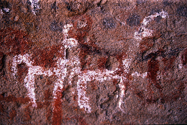 Pinturas rupestre  Cuevas del cacao(Catam)