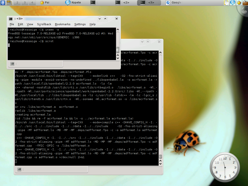 [kde4-freebsd.png]