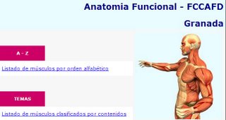 [Anatomia+Funcional.jpg]
