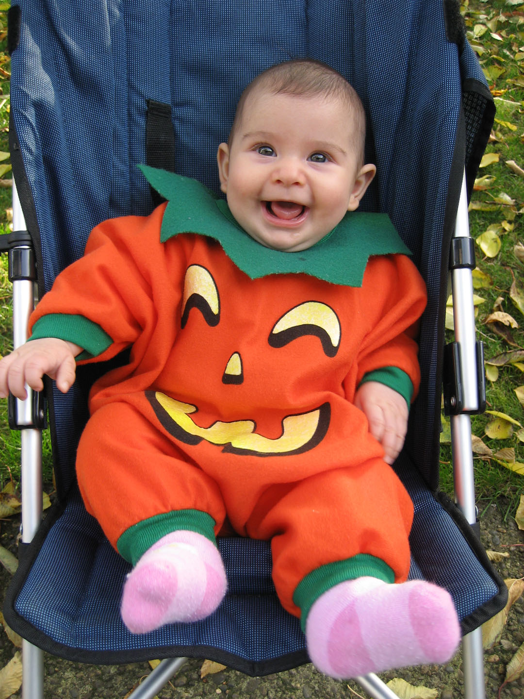 [toddler-halloween-costumes.jpg]