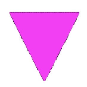 [triangolorosa.jpg]