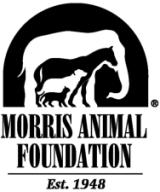 [Morris+Animal+Foundation.jpg]