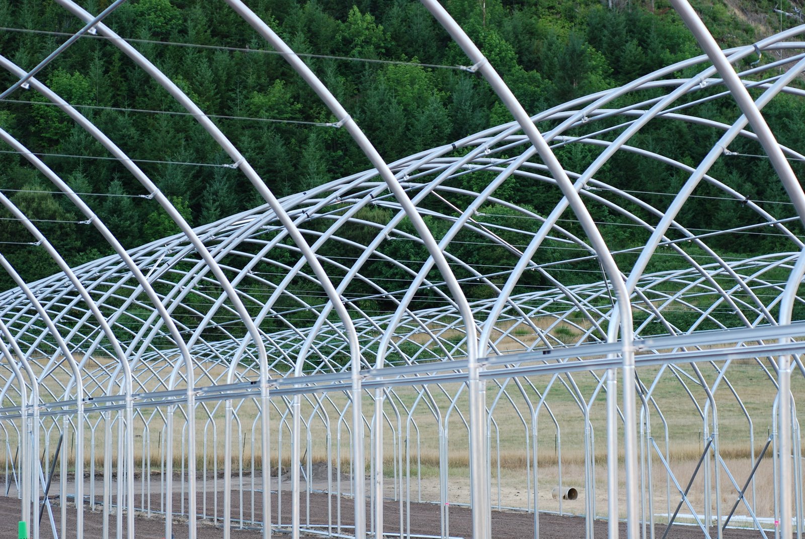 [new+greenhouses,+irrigation+boom,+grasses+062.jpg]