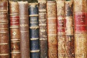 [Books+Image+of+classics+in+old+bindings.jpg]