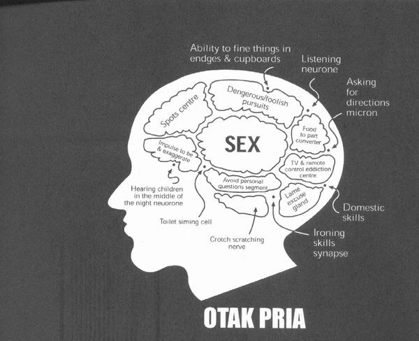 [otak+pria.jpg]
