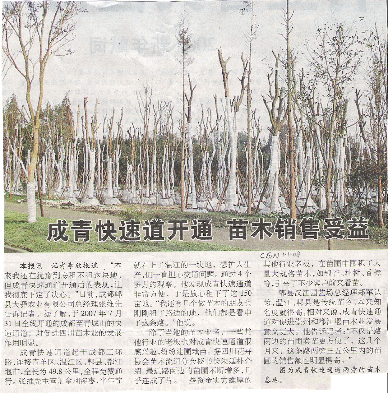 [China+Tree+News+---+Mature+Trees,+Cutting+or+Seed+&+Topped+trees+004.jpg]