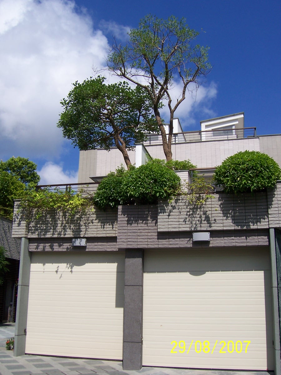 [Rooftop+tree+planting+3.jpg]