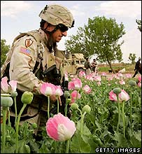 [Soldier+and+Poppies.jpg]