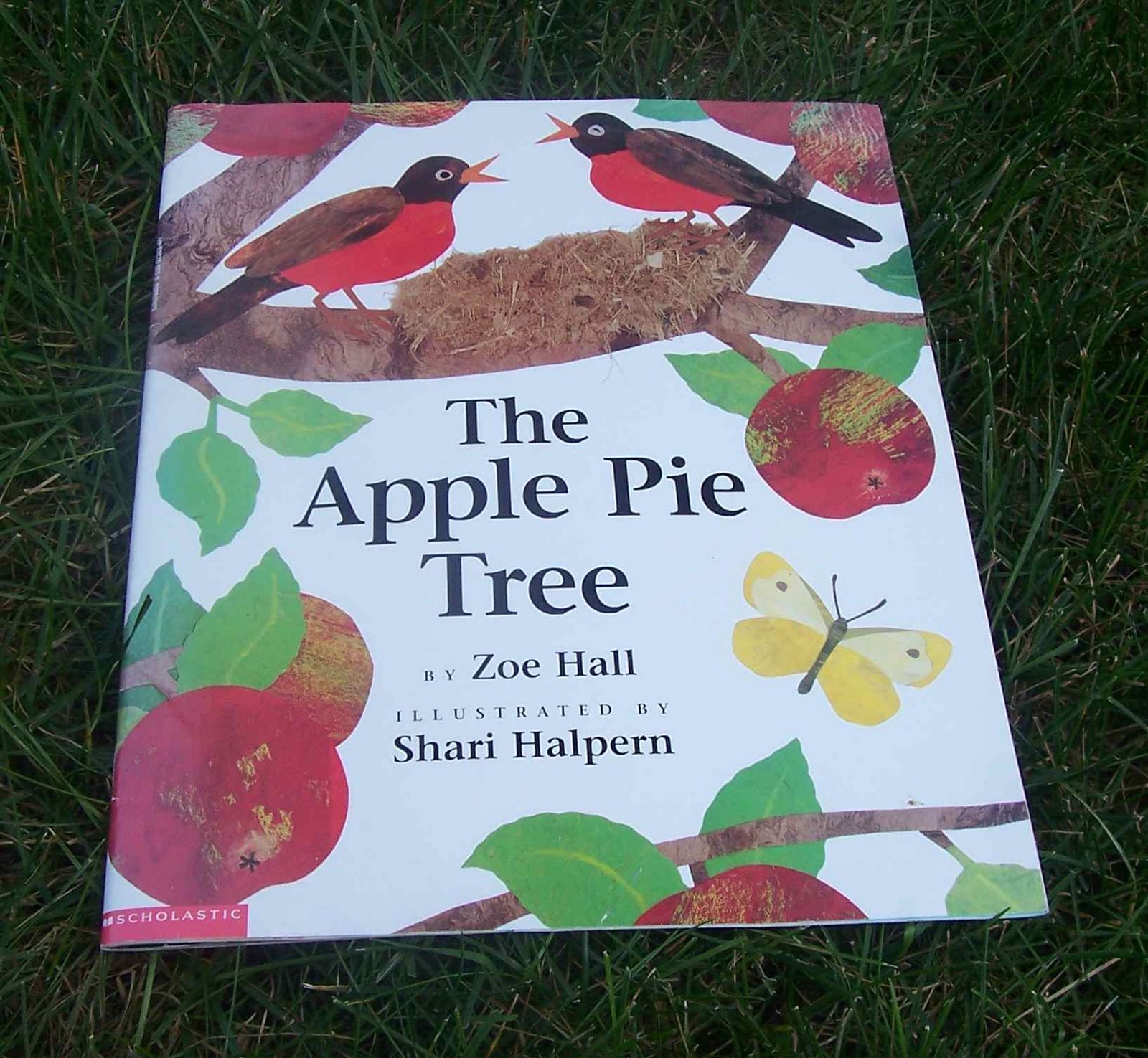 [apple+pie+tree.jpg]