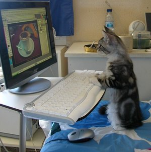 [computer__cat_by_Flore_stock.jpg]