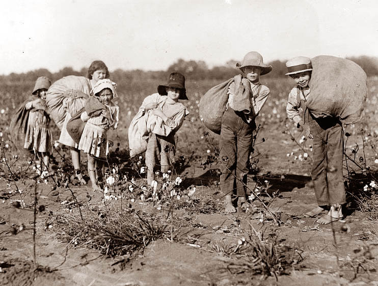 [children-picking-cotton.jpg]