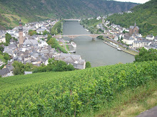 View of Cochem from the castle