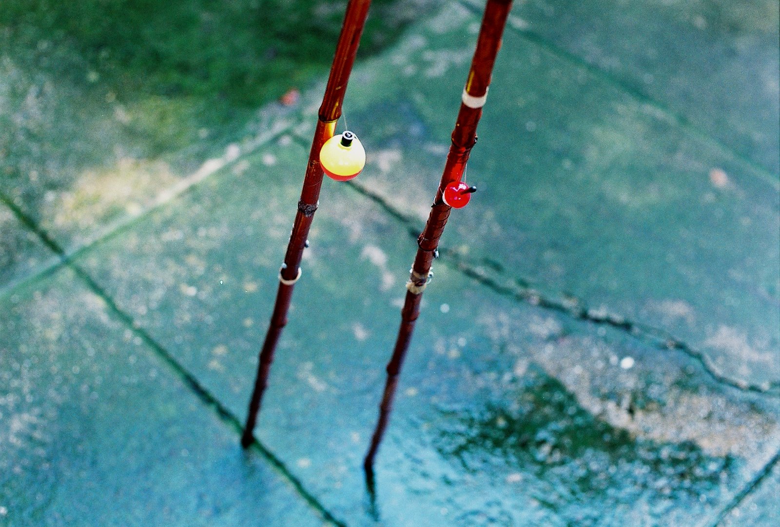 [cane+fishing+poles+THREE+BRLA+10-15-07.jpg]