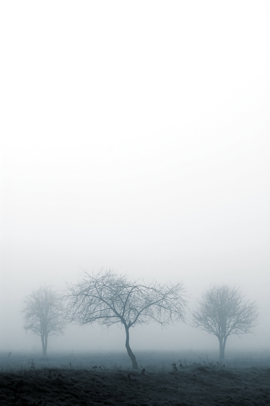 [fog.jpg]