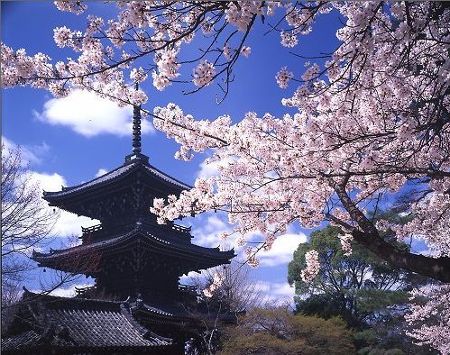 [Kyoto,+Shinnyo-do+Temple.jpg]