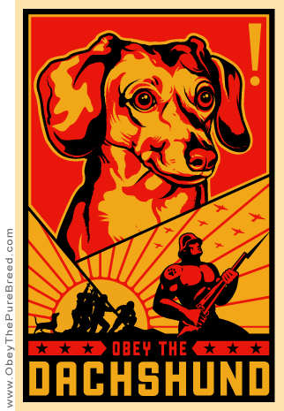 [obey+the+dachshund.gif]