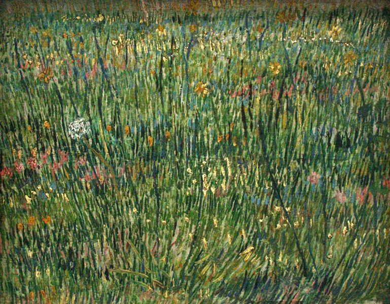[769px-Van_Gogh_-_Patch_of_grass.jpg]