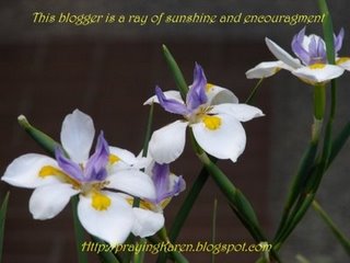 [ray+of+sunshine+and+encouragement.jpg]