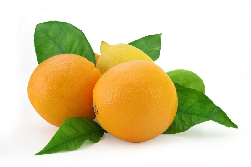 [oranges+and+lemons.jpg]