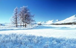 [Tour+Scotland+Winter+Trees.jpg]