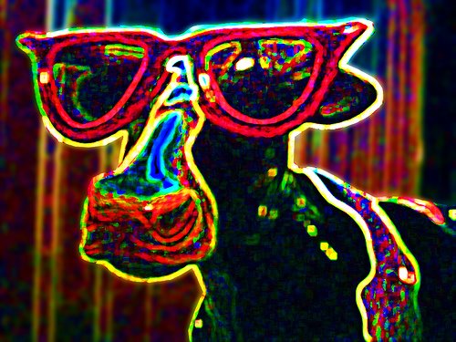 [cow+in+sunglasses.jpg]
