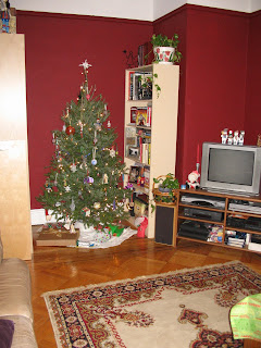 Our happy little tree in our happy new little appartment