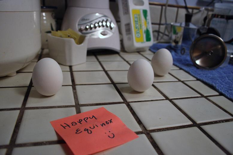 [eggsstand.JPG]