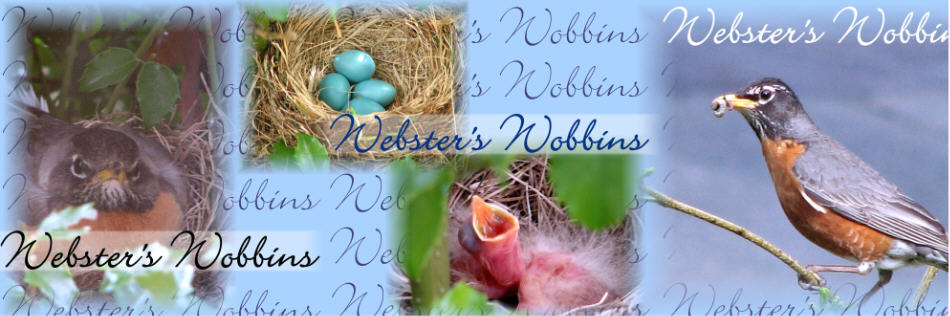 Webster's Wobbins