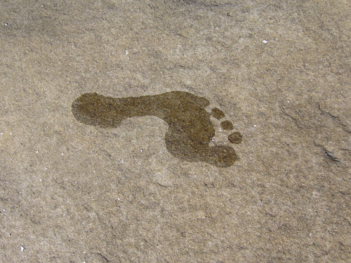 [footprint.jpg]