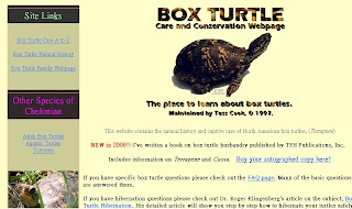 Box Turtle Care and Conservation Website