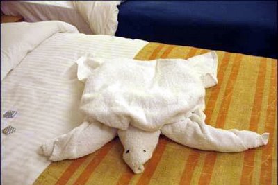 [towel-folding-turtle.jpg]