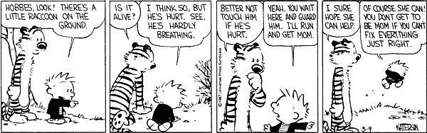 Sometimes Calvin says it all