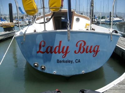 [lady+bug+400.jpg]