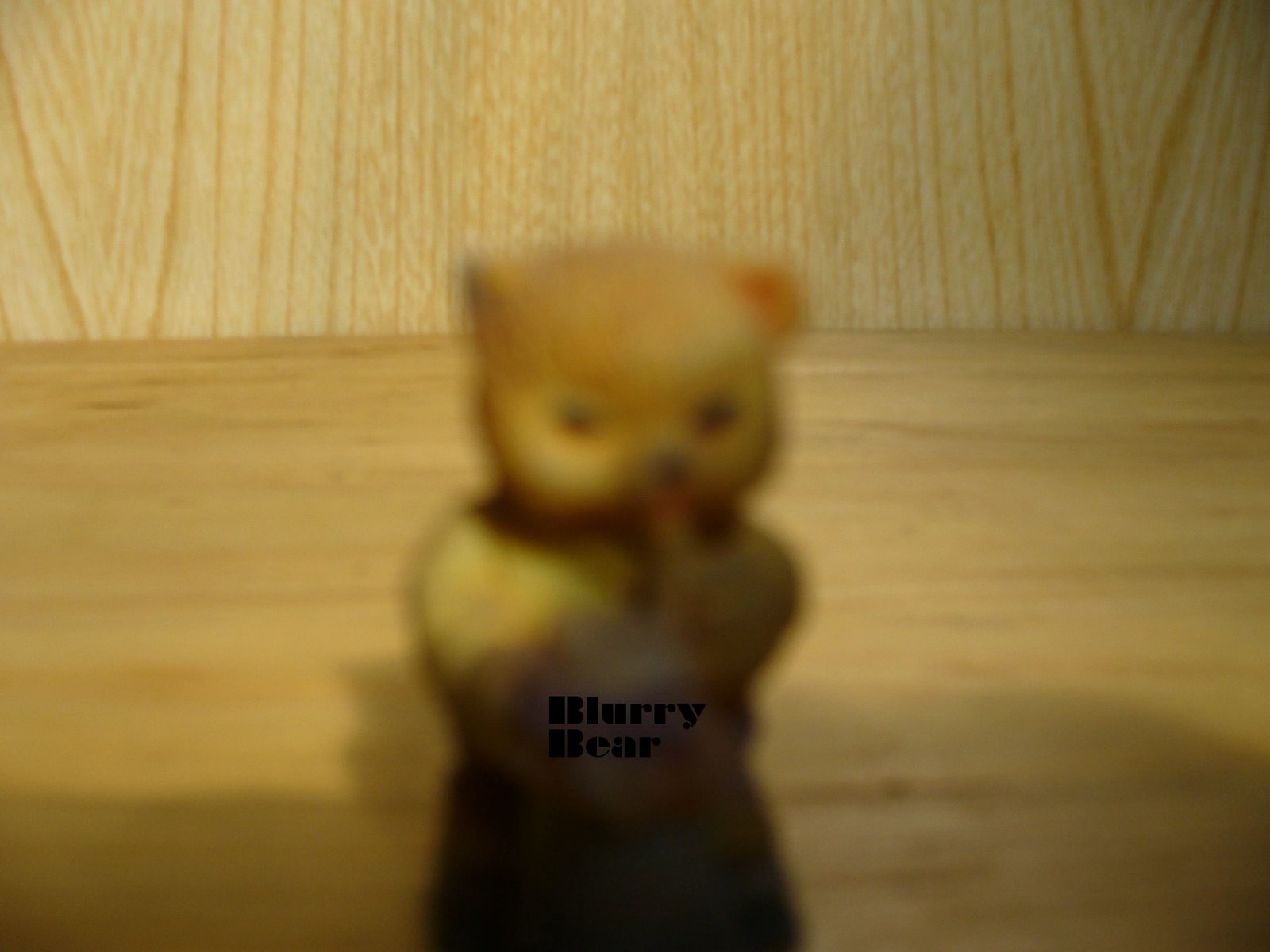 [Blurry+Bear.jpg]