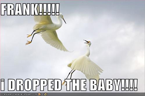 [funny-pictures-storks-dropped-baby.jpg]