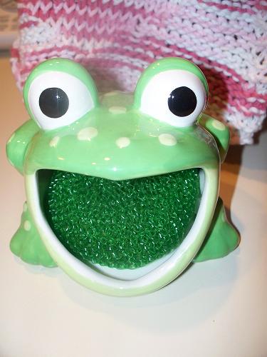 [frogscrubber.JPG]